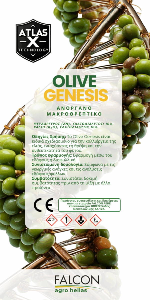 Olive Genesis