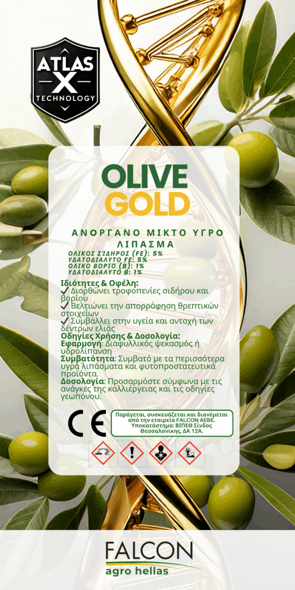 Olive Gold