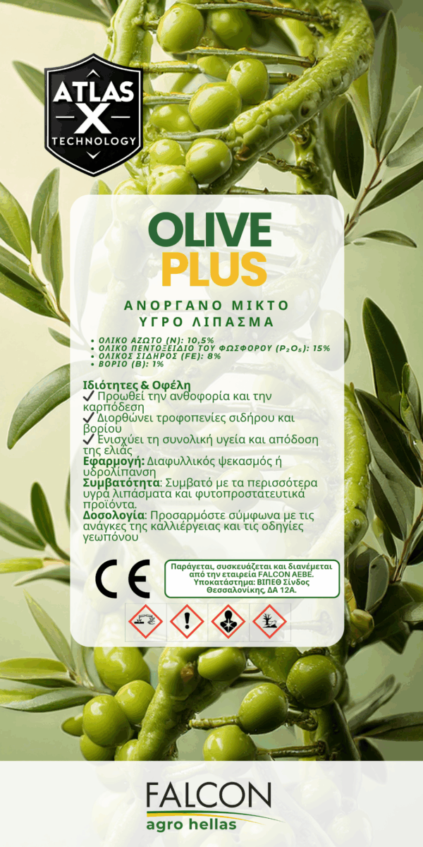 Olive Plus